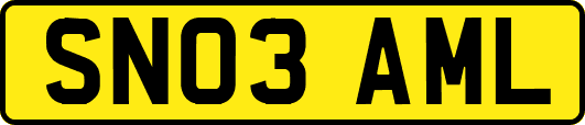 SN03AML