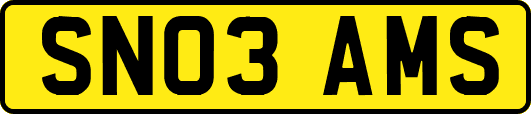 SN03AMS