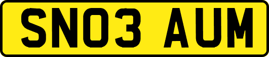 SN03AUM