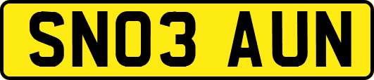 SN03AUN