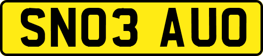 SN03AUO
