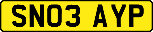 SN03AYP