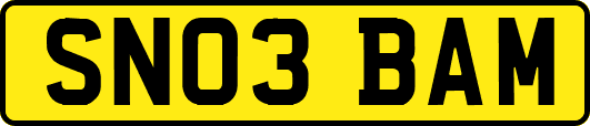 SN03BAM