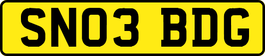 SN03BDG