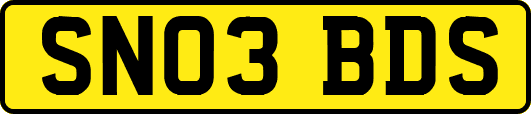 SN03BDS