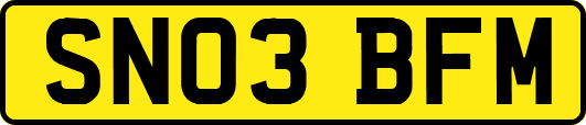SN03BFM