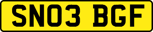 SN03BGF