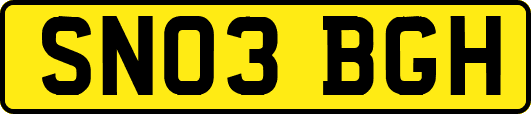 SN03BGH