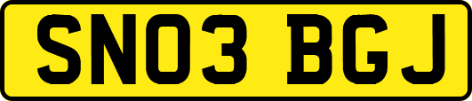 SN03BGJ