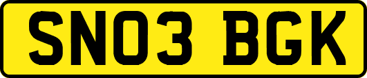 SN03BGK