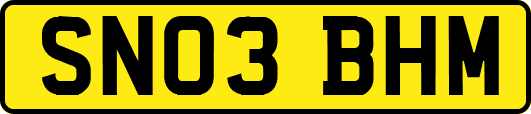 SN03BHM