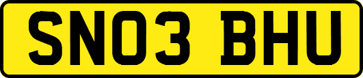 SN03BHU