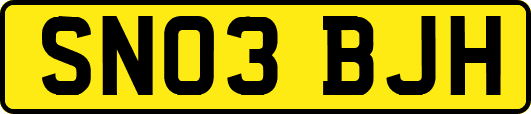 SN03BJH