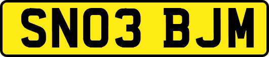 SN03BJM