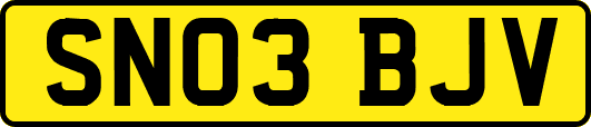 SN03BJV