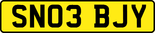 SN03BJY
