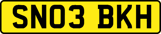 SN03BKH