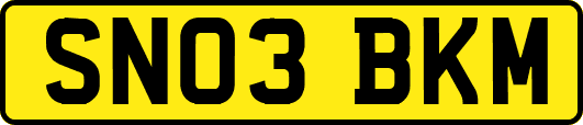SN03BKM