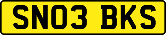 SN03BKS