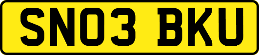 SN03BKU