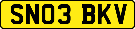SN03BKV