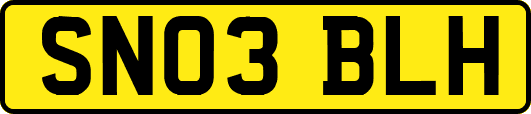 SN03BLH