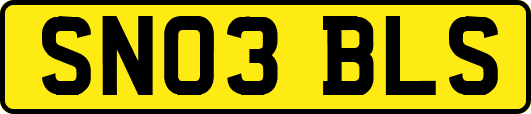 SN03BLS