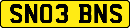 SN03BNS