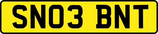 SN03BNT