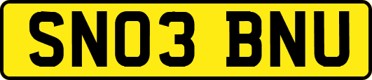 SN03BNU