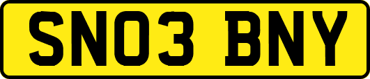 SN03BNY