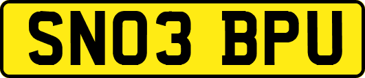 SN03BPU