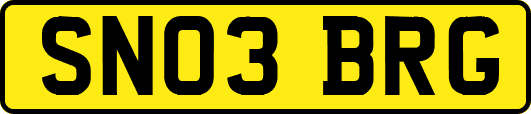 SN03BRG