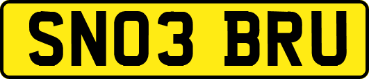 SN03BRU