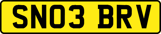 SN03BRV