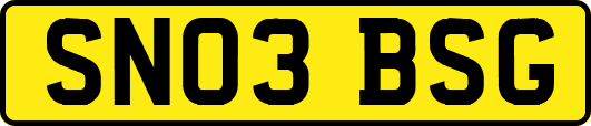 SN03BSG