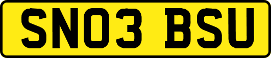 SN03BSU