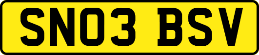 SN03BSV