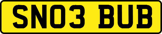SN03BUB