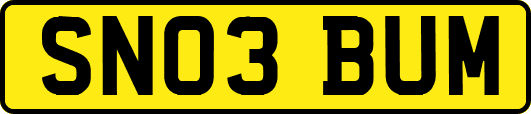 SN03BUM