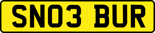 SN03BUR