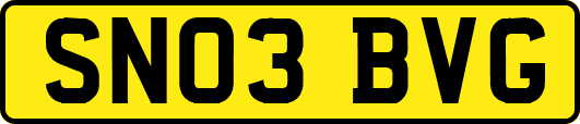 SN03BVG