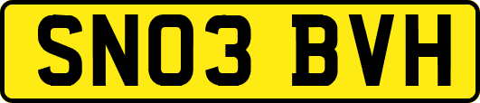 SN03BVH