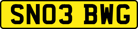 SN03BWG