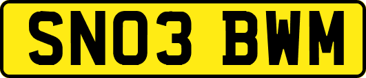 SN03BWM