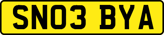 SN03BYA