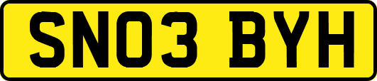 SN03BYH