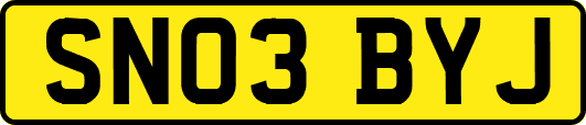 SN03BYJ