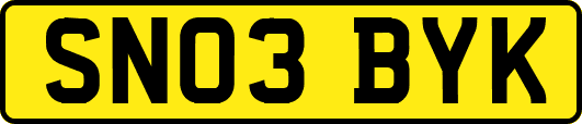 SN03BYK
