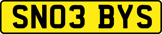 SN03BYS